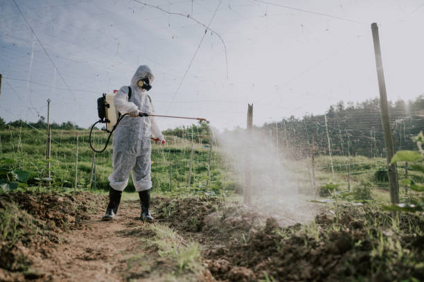 Best Local Pest Control Services  in Hope, AR