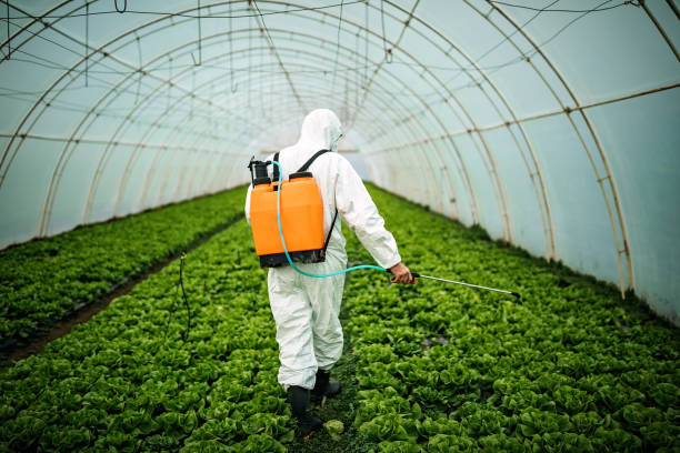 Best Pest Control Near Me  in Hope, AR