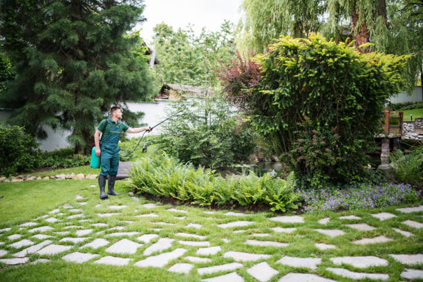 Best Mosquito Control Services  in Hope, AR