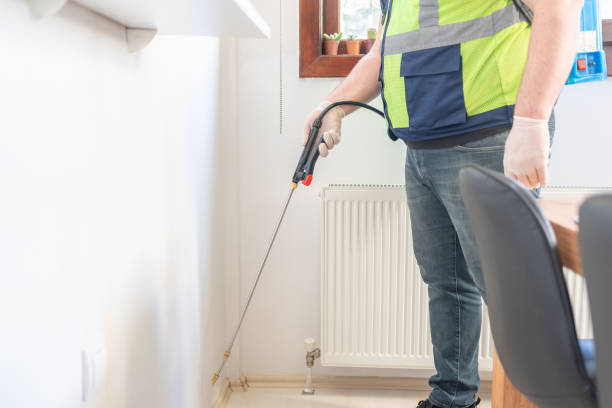 Best Local Pest Control Services  in Hope, AR