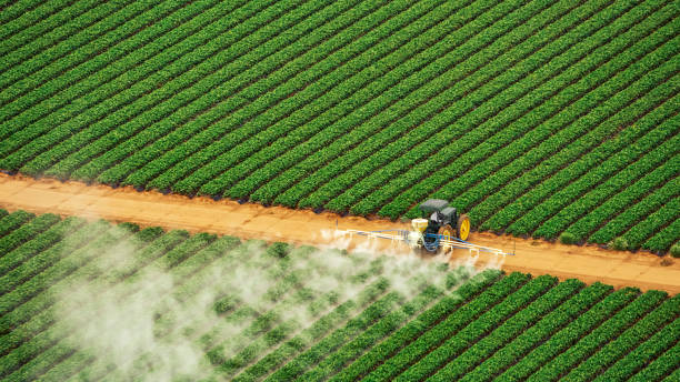 Reliable Hope, AR Pest Control Solutions