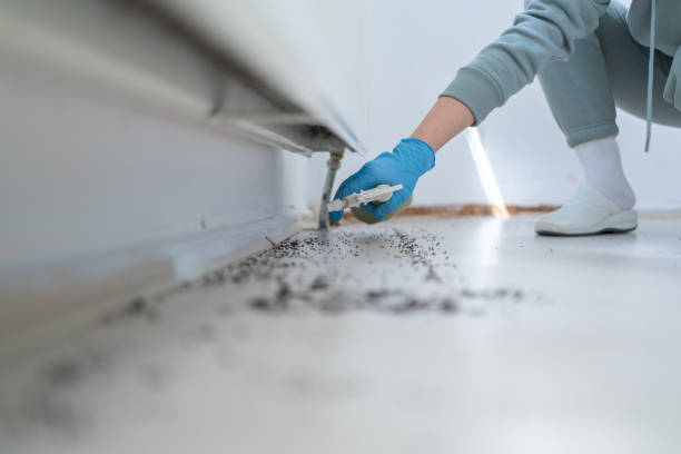 Best Commercial Pest Control Services  in Hope, AR